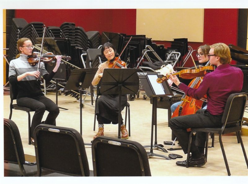 Chamber musicians