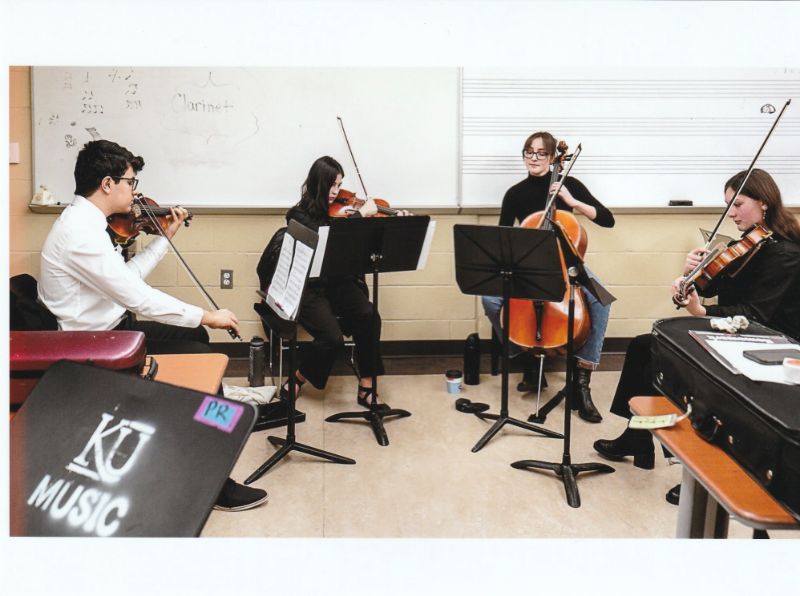 Chamber musicians