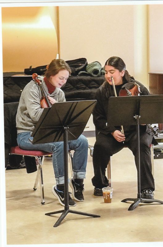 Chamber musicians