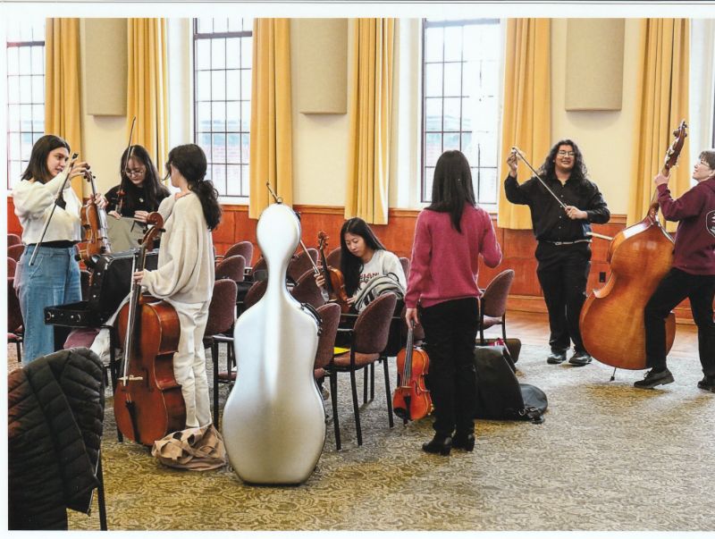 Chamber musicians